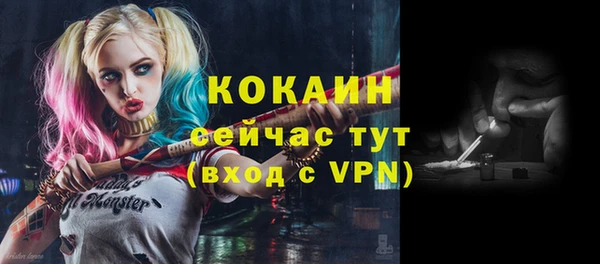 мяу мяу мука Алексин
