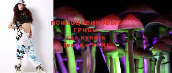 мяу мяу мука Алексин