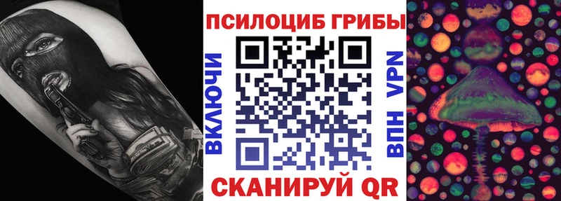 Псилоцибиновые грибы Psilocybe  магазин продажи наркотиков  Сенгилей 